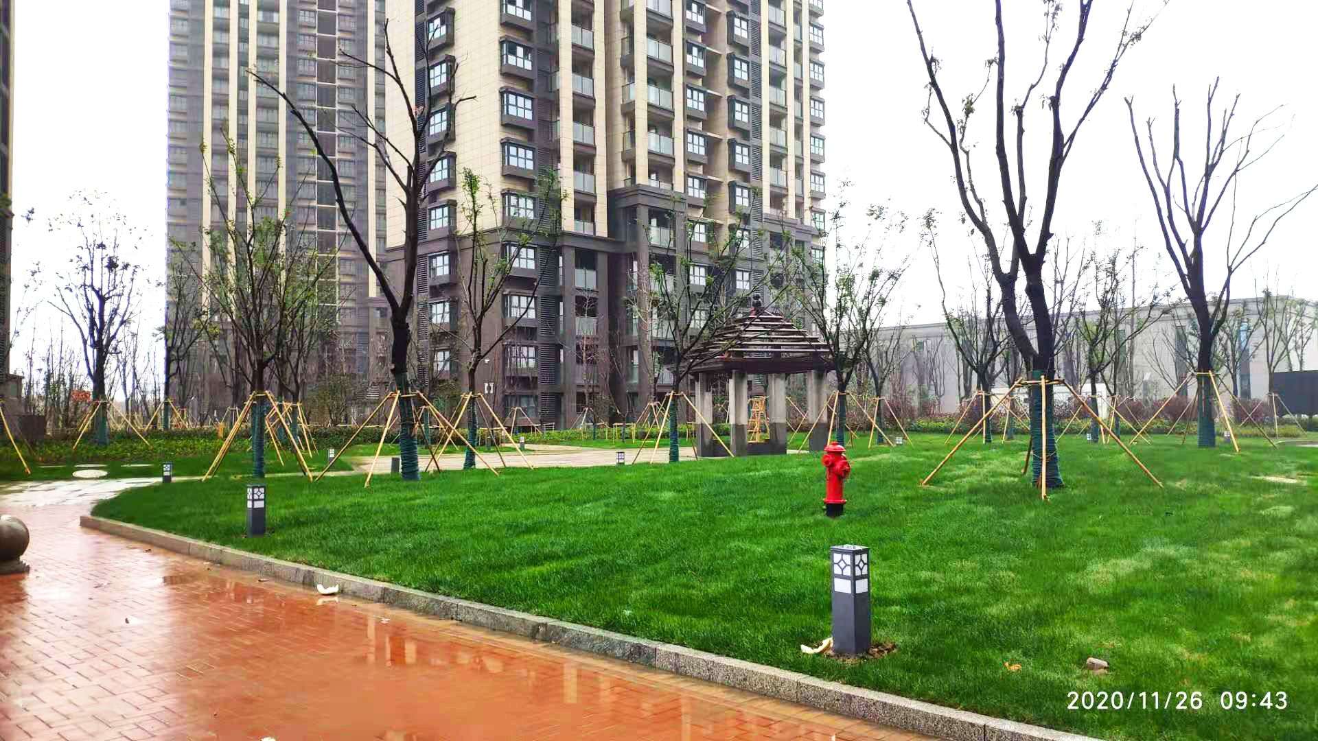 选房举行时！盘福雅苑1290套住房迎来新主人