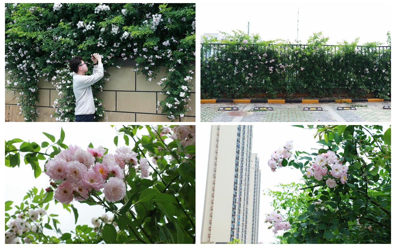 yl6809永利(中国游)官方网站