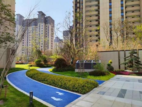 细腻化建设新树模 这场树模观摩会大有看头