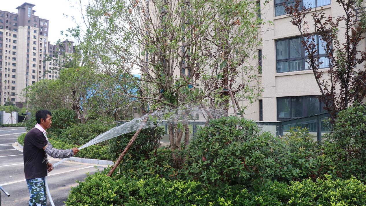 葛塘新增超四千套房源！这些包管房项目即将交付