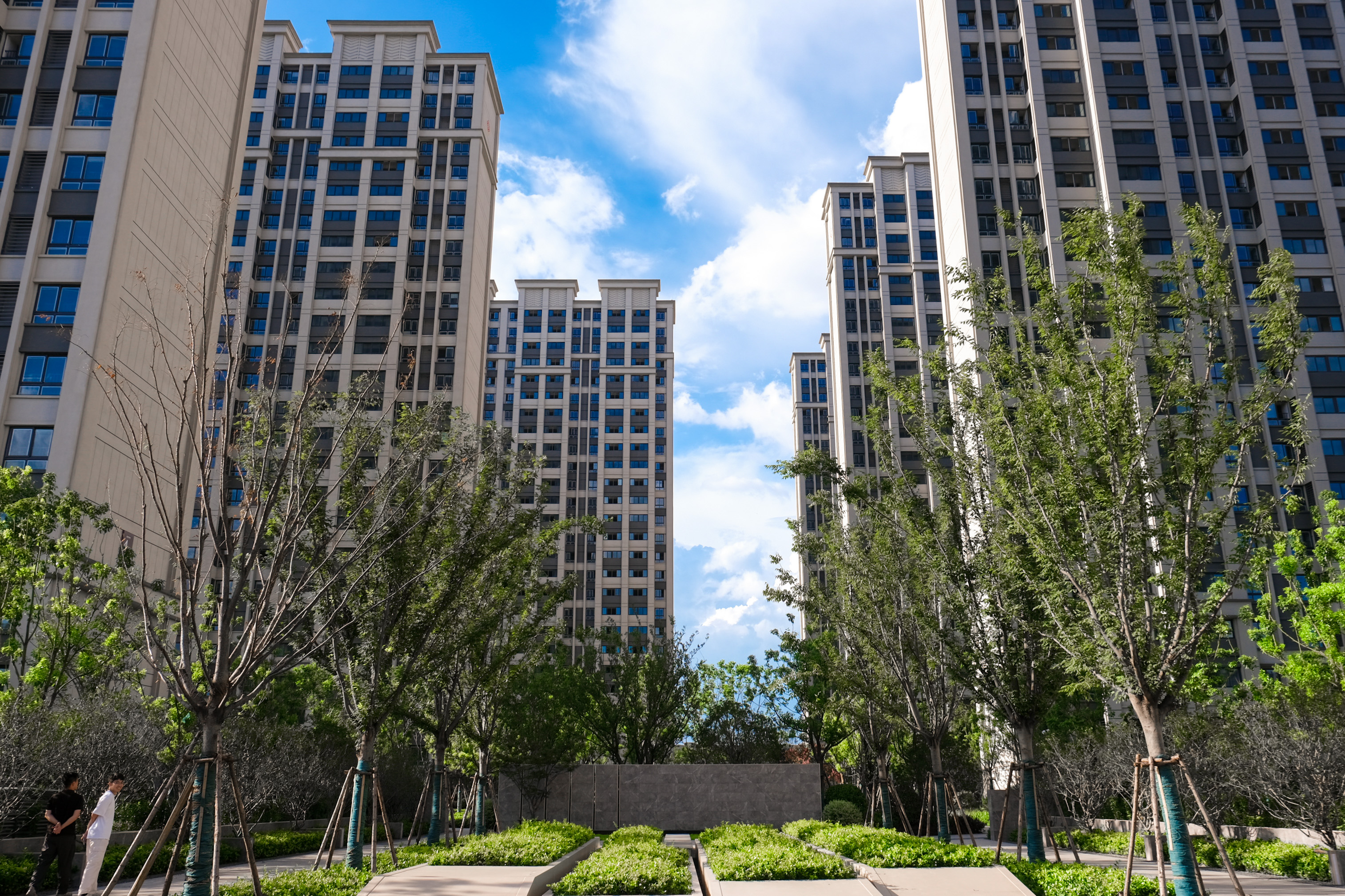 台风过境，，，，，，，这一大波民生项目be like（图说包管房）