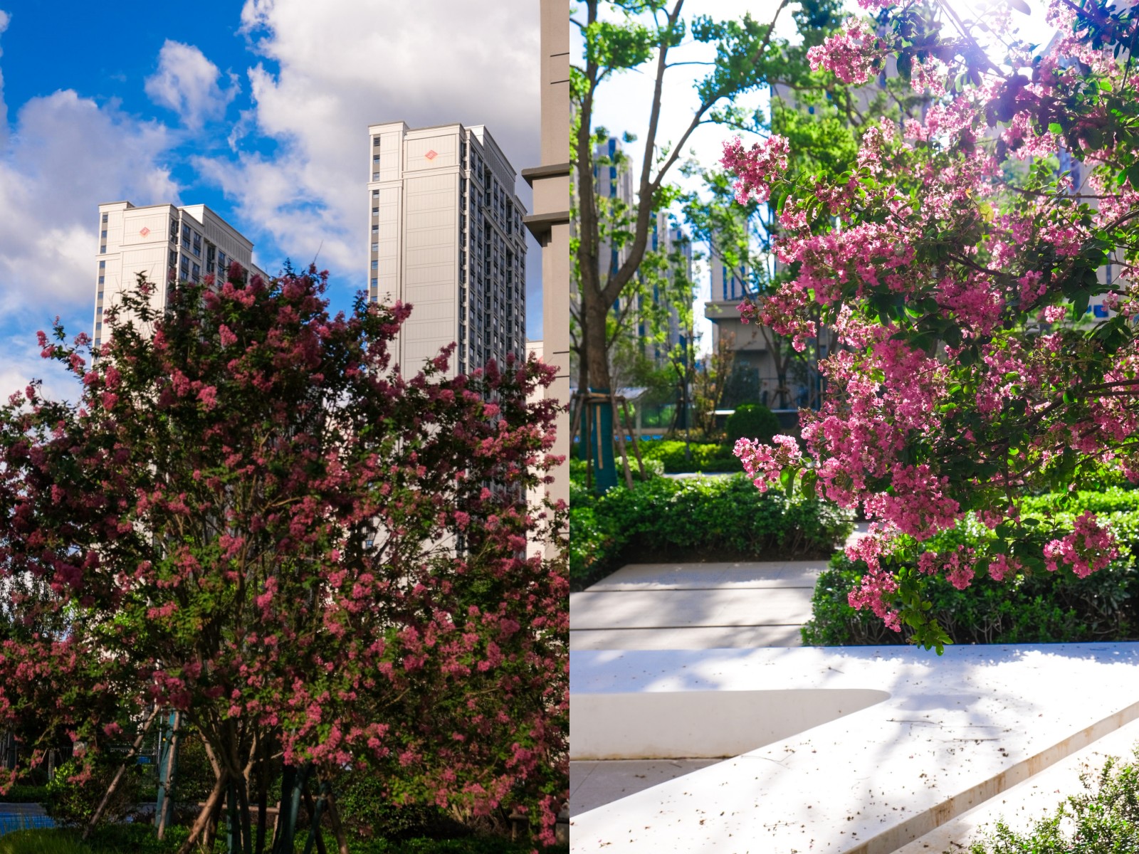 台风过境，，，，，，，这一大波民生项目be like（图说包管房）